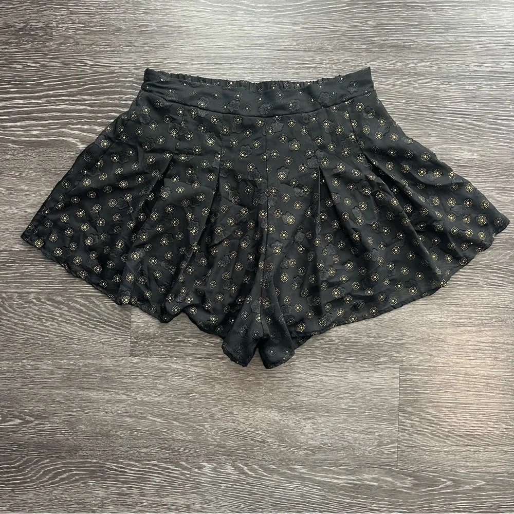 Lucy in the Sky Picnic Pretty Black Chiffon Shorts